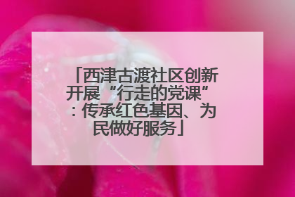 西津古渡社区创新开展“行走的党课”：传承红色基因、为民做好服务