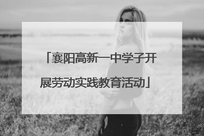 襄阳高新一中学子开展劳动实践教育活动
