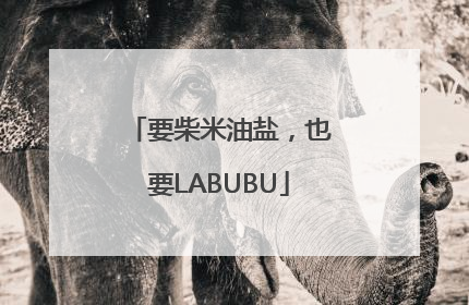 要柴米油盐，也要LABUBU