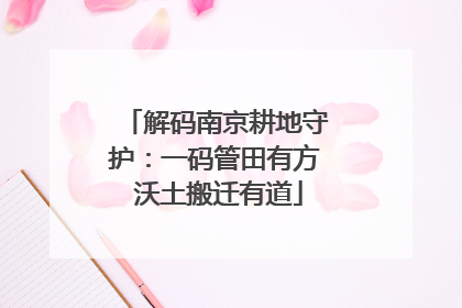 解码南京耕地守护：一码管田有方 沃土搬迁有道