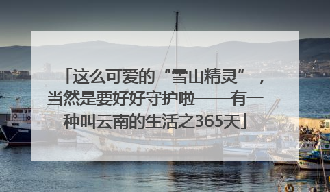 这么可爱的“雪山精灵”，当然是要好好守护啦——有一种叫云南的生活之365天