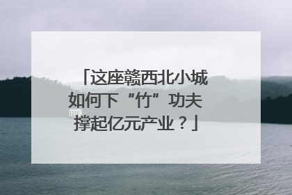 这座赣西北小城如何下“竹”功夫撑起亿元产业？