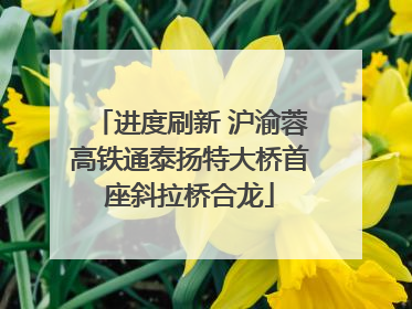 进度刷新 沪渝蓉高铁通泰扬特大桥首座斜拉桥合龙