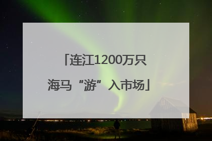 连江1200万只海马“游”入市场