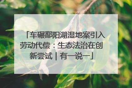 车碾鄱阳湖湿地案引入劳动代偿：生态法治在创新尝试｜有一说一