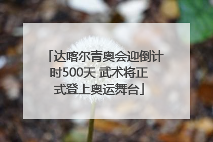 达喀尔青奥会迎倒计时500天 武术将正式登上奥运舞台