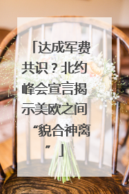 达成军费共识？北约峰会宣言揭示美欧之间“貌合神离”