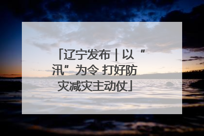 辽宁发布｜以“汛”为令 打好防灾减灾主动仗
