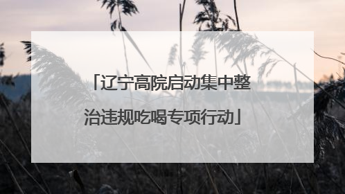 辽宁高院启动集中整治违规吃喝专项行动