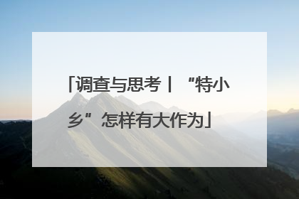 调查与思考丨“特小乡”怎样有大作为
