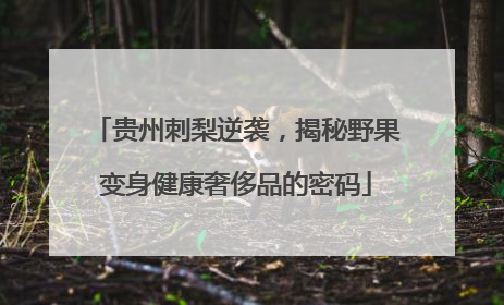 贵州刺梨逆袭，揭秘野果变身健康奢侈品的密码