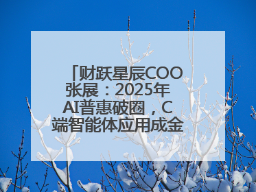财跃星辰COO张展：2025年AI普惠破圈，C端智能体应用成金融转型关键