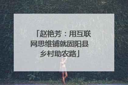 赵艳芳：用互联网思维铺就固阳县乡村助农路