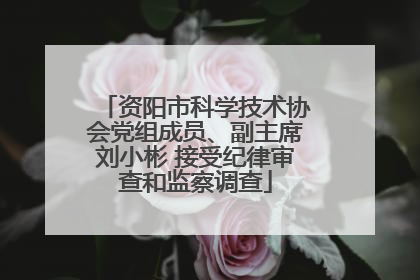 资阳市科学技术协会党组成员、副主席刘小彬 接受纪律审查和监察调查
