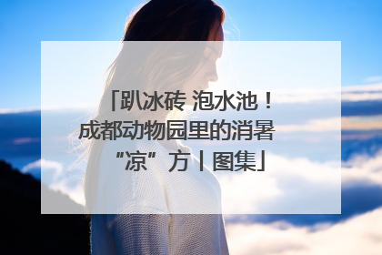 趴冰砖 泡水池！成都动物园里的消暑“凉”方丨图集