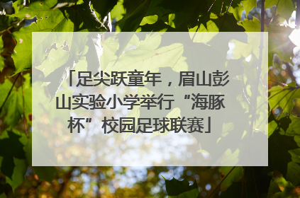 足尖跃童年，眉山彭山实验小学举行“海豚杯”校园足球联赛