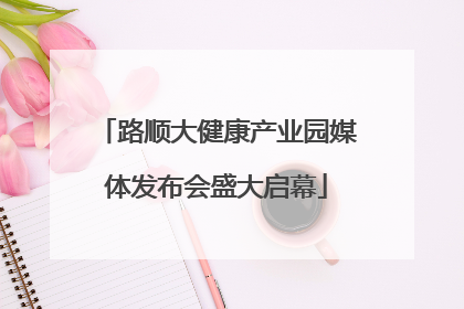 路顺大健康产业园媒体发布会盛大启幕