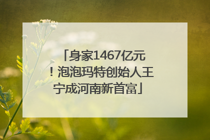 身家1467亿元！泡泡玛特创始人王宁成河南新首富
