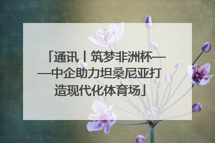 通讯丨筑梦非洲杯——中企助力坦桑尼亚打造现代化体育场