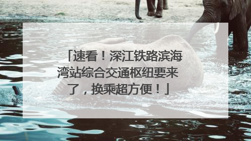 速看！深江铁路滨海湾站综合交通枢纽要来了，换乘超方便！