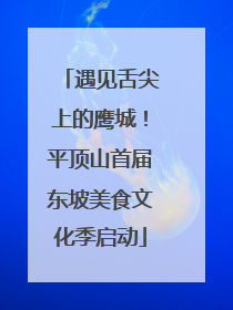 遇见舌尖上的鹰城！平顶山首届东坡美食文化季启动