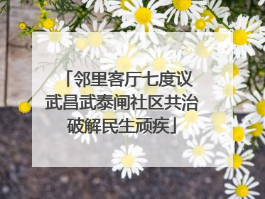 邻里客厅七度议 武昌武泰闸社区共治破解民生顽疾