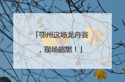 鄂州这场龙舟赛，现场超燃！