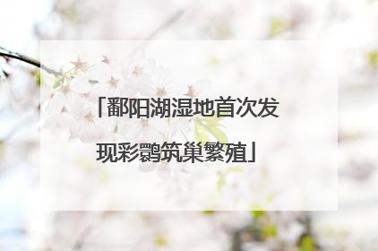 鄱阳湖湿地首次发现彩鹮筑巢繁殖