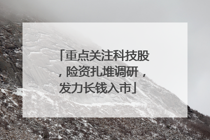 重点关注科技股，险资扎堆调研，发力长钱入市