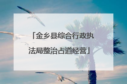 金乡县综合行政执法局整治占道经营