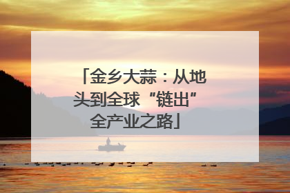 金乡大蒜：从地头到全球“链出”全产业之路