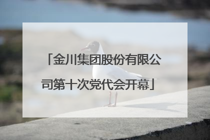金川集团股份有限公司第十次党代会开幕