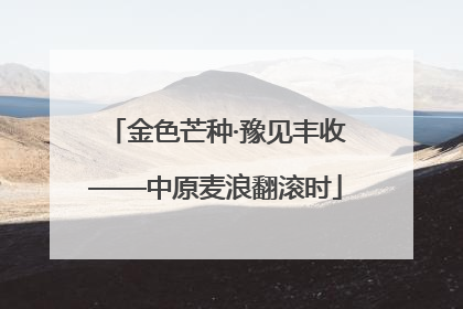 金色芒种·豫见丰收——中原麦浪翻滚时
