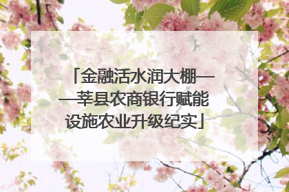 金融活水润大棚——莘县农商银行赋能设施农业升级纪实