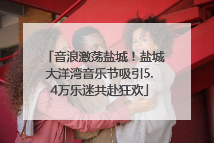 音浪激荡盐城！盐城大洋湾音乐节吸引5.4万乐迷共赴狂欢