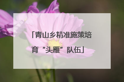 青山乡精准施策培育“头雁”队伍