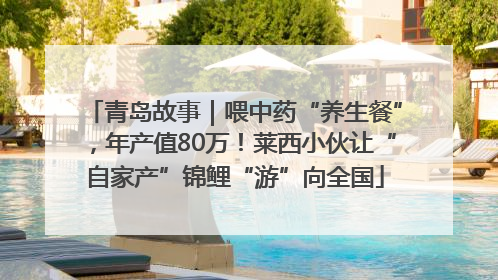 青岛故事｜喂中药“养生餐”，年产值80万！莱西小伙让“自家产”锦鲤“游”向全国
