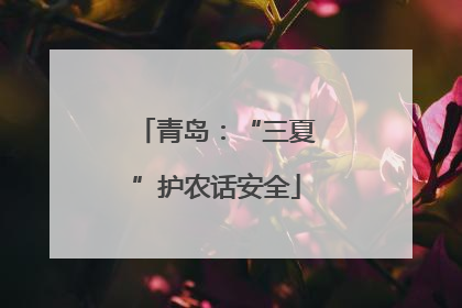青岛：“三夏”护农话安全