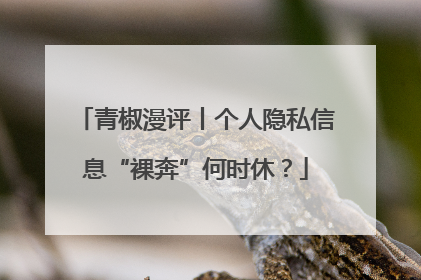 青椒漫评丨个人隐私信息“裸奔”何时休？