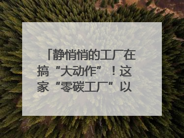 静悄悄的工厂在搞“大动作”！这家“零碳工厂”以“三创三增”探索共富新路径｜网络名人四川行