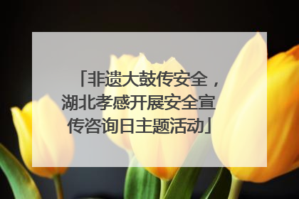 非遗大鼓传安全，湖北孝感开展安全宣传咨询日主题活动