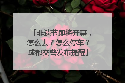 非遗节即将开幕，怎么去？怎么停车？成都交警发布提醒