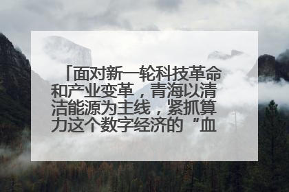 面对新一轮科技革命和产业变革，青海以清洁能源为主线，紧抓算力这个数字经济的“血液”、科技主权的“筹码”、产业升级的“杠杆”、绿色转型的“支点”，勇于撬动国家“双碳”战略、“东数西算”工程重大发展新机遇