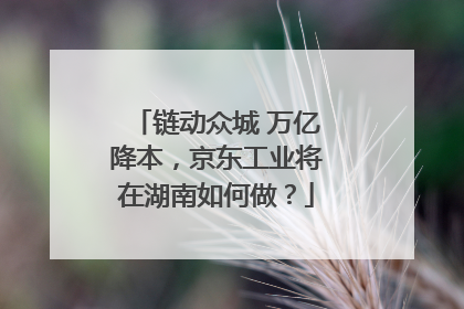 链动众城 万亿降本，京东工业将在湖南如何做？