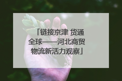 链接京津 货通全球——河北商贸物流新活力观察