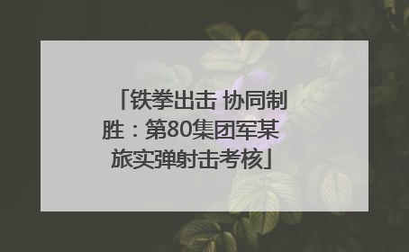 铁拳出击 协同制胜：第80集团军某旅实弹射击考核
