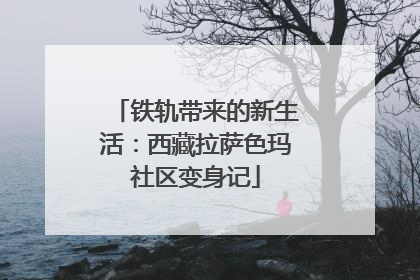 铁轨带来的新生活：西藏拉萨色玛社区变身记