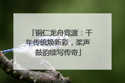 铜仁龙舟竞渡：千年传统焕新彩，桨声鼓韵续写传奇