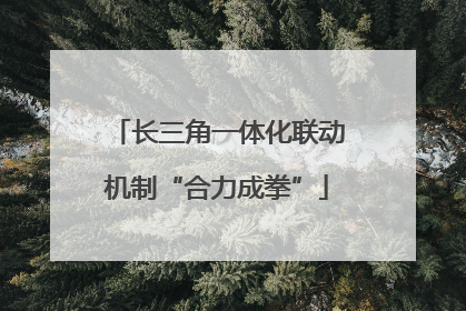 长三角一体化联动机制“合力成拳”