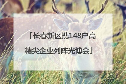 长春新区携148户高精尖企业列阵光博会